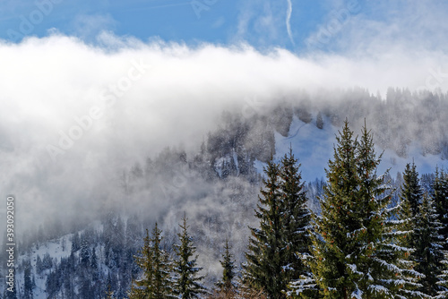 Paysage de montagne enneigé par une journée ensoleillée d'hiver © PPJ