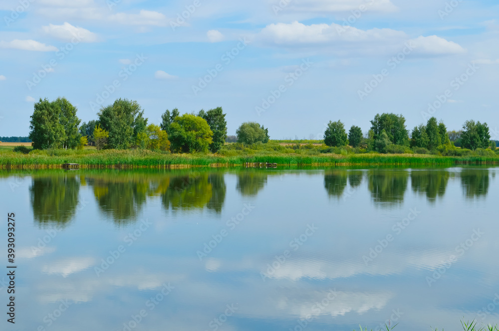 Fototapeta premium mirror-like surface of the river and the reflection of trees in it