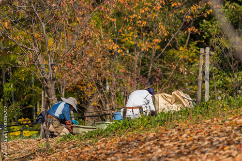 秋の公園で除草作業している人々の姿