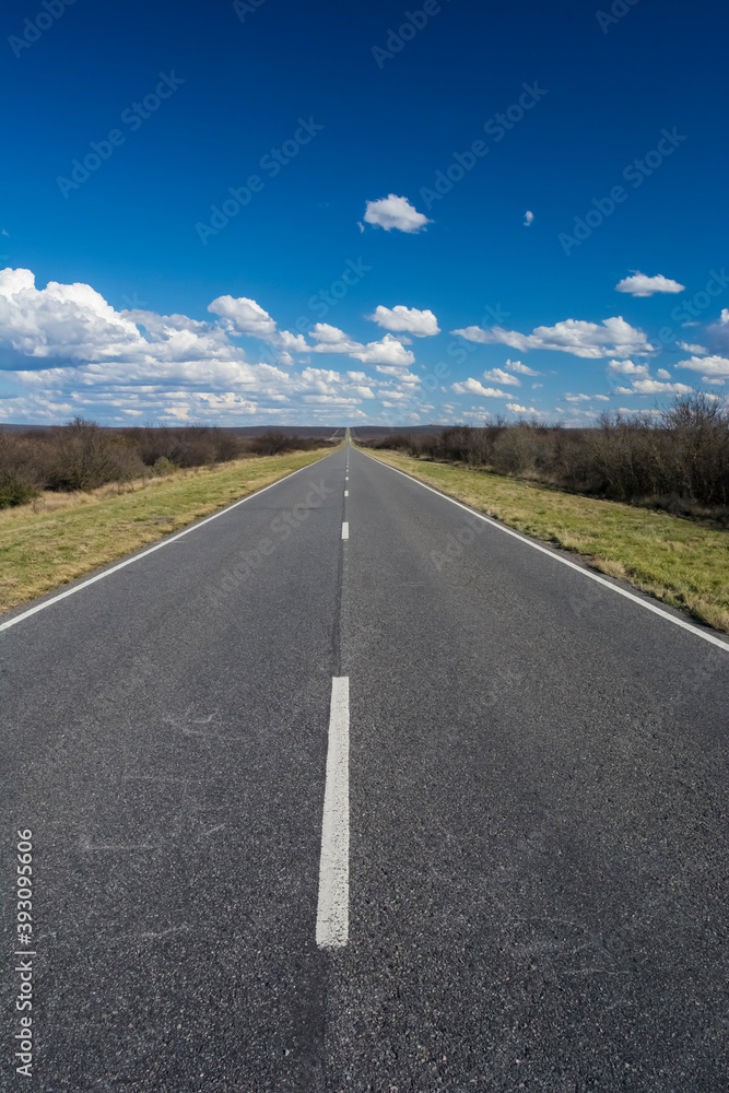 Fototapeta premium Route in the Pampas plain, Patagonia, Argentina