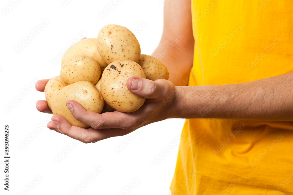 Male hands holding a bunch of potatoes. Male hands holding a bunch of potatoes.