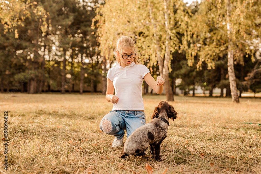 Teenager blonde girl with big glasses laughing and playing with little puppy spaniel in the warm park Teenager blonde girl with big glasses laughing and playing with little puppy spaniel in the warm park