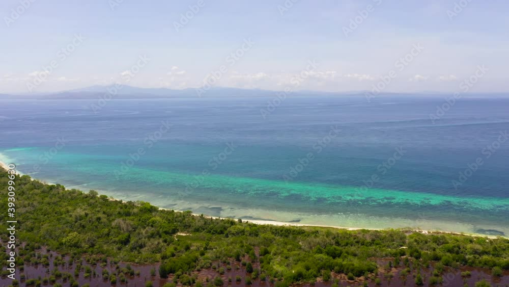 Mangrove trees in the water on a tropical island. An ecosystem in the Philippines, a mangrove forest. Great Santa Cruz island. Zamboanga, Mindanao, Philippines. Mangrove trees in the water on a tropical island. An ecosystem in the Philippines, a mangrove forest. Great Santa Cruz island. Zamboanga, Mindanao, Philippines.
