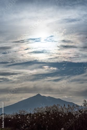 ススキの群生と青空の中の岩木山

