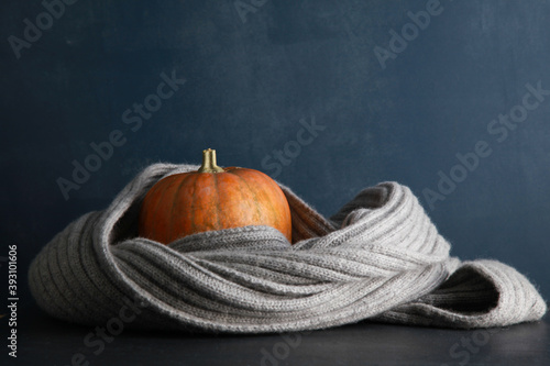 Orange pumpkin with grey knitted scarf on black table against dark blue wall background. Autumn and food concept. Fall, Halloween, thanksgiving, cooking, closeup