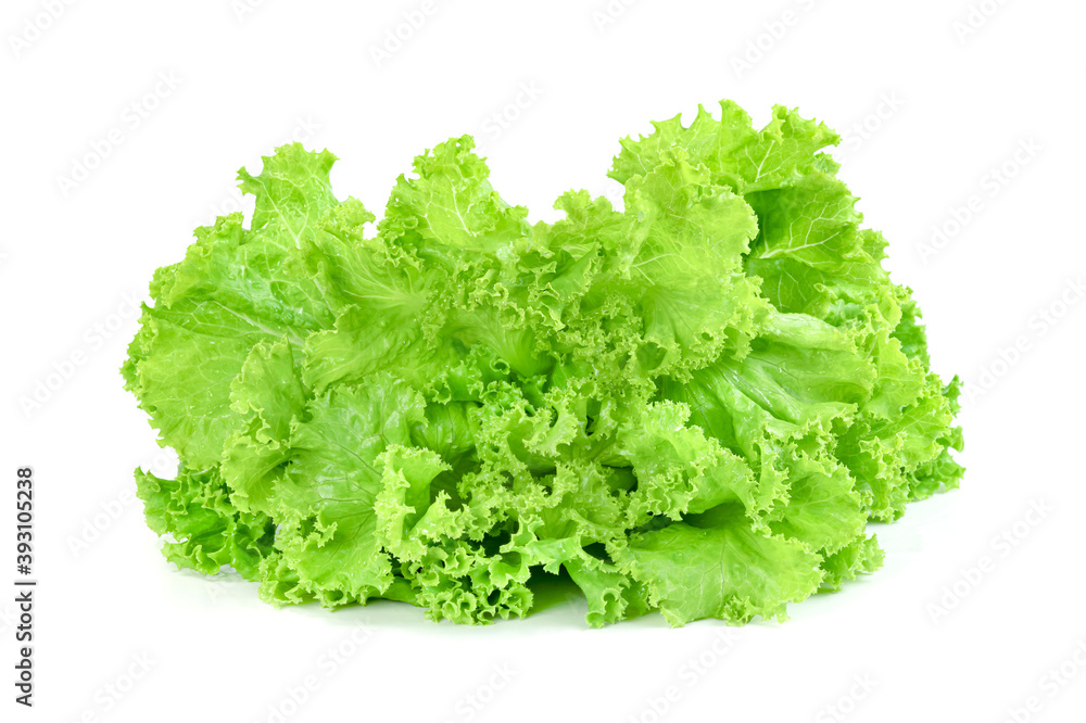Lettuce leaf isolated on white background ,Green leaves pattern ,Salad ingredient Lettuce leaf isolated on white background ,Green leaves pattern ,Salad ingredient