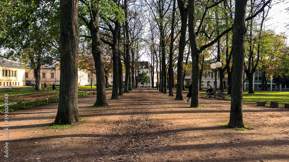 Fototapeta premium Bonn park view
