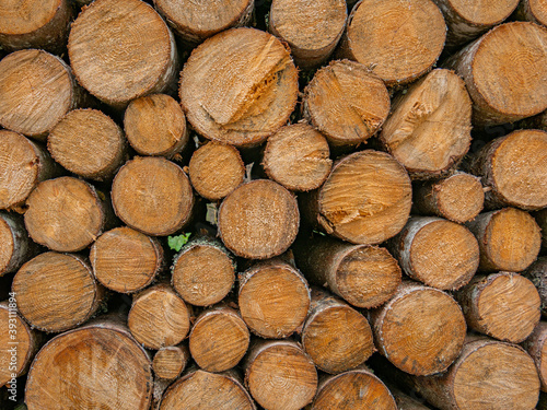 Ein Holzstapel von geschnittenen Baumst  mmen