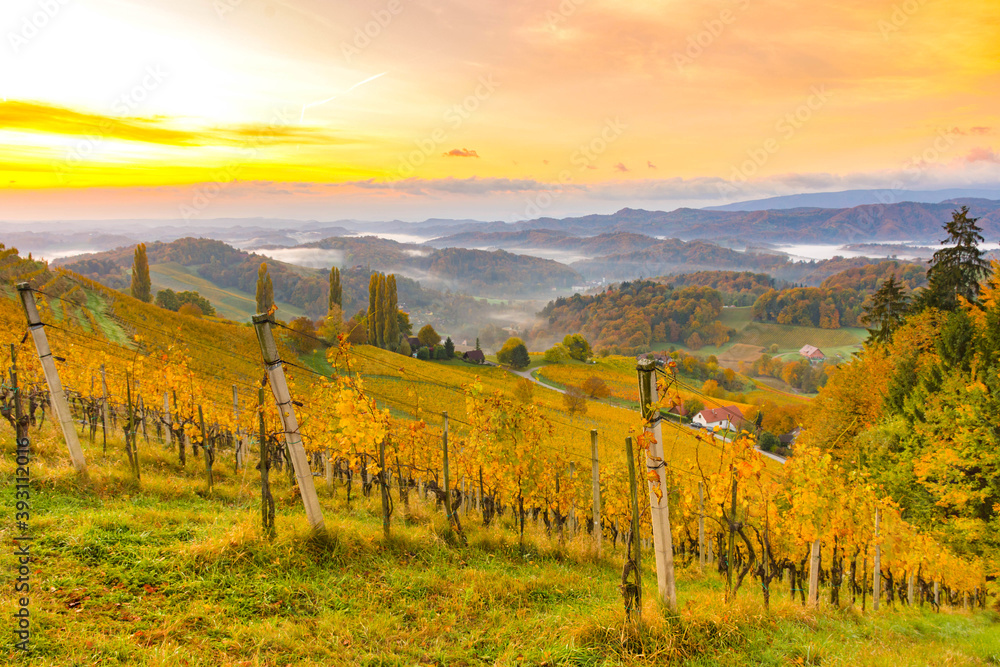 Autumn landscape with South Styria vineyards,known as Austrian Tuscany,a charming region on the border between Austria and Slovenia with rolling hills,picturesque villages and wine taverns,at sunrise