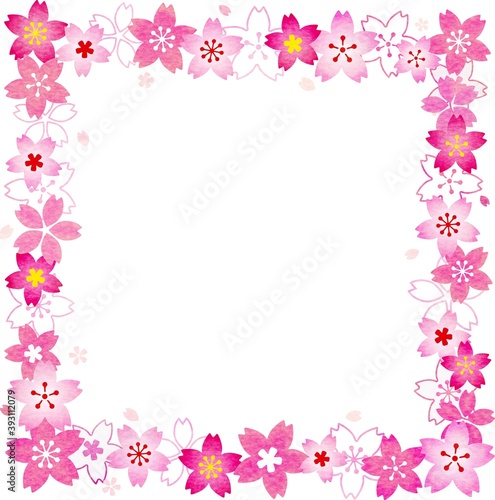 色鉛筆風な彩色の四角い桜の花のフレーム素材