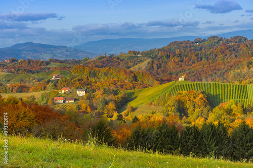 Charming little church in South Styria   Austrian Tuscany   a famous region on the border between Austria and Slovenia with rolling hills  vineyards  picturesque villages and wine taverns