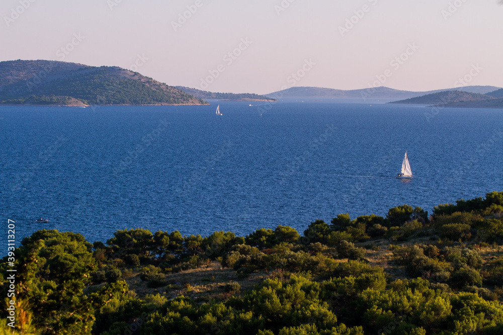 sailboat in the bay