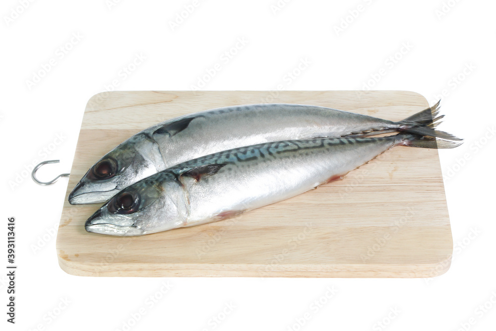 Fresh saba fish isolated on white background Fresh saba fish isolated on white background