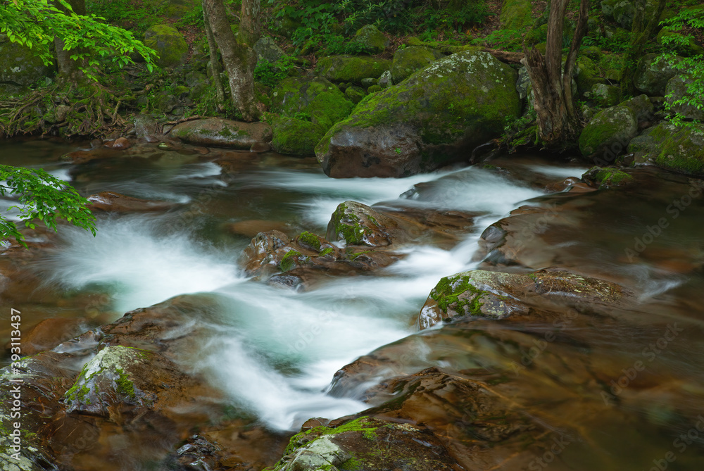 Summer landscape of a rapids and cascade on Cosby Creek, Great Smoky Mountains National Park, Tennessee, USA Summer landscape of a rapids and cascade on Cosby Creek, Great Smoky Mountains National Park, Tennessee, USA