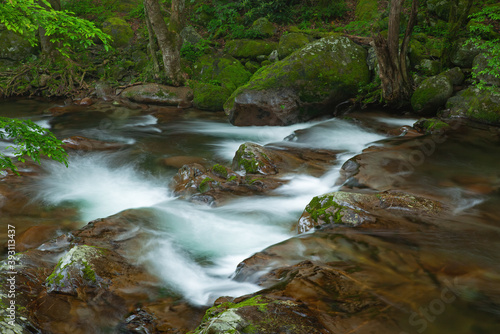 Summer landscape of a rapids and cascade on Cosby Creek  Great Smoky Mountains National Park  Tennessee  USA