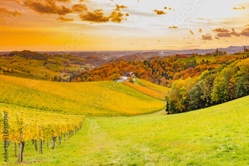 Fototapeta Naklejka Na Ścianę i Meble -  Autumn landscape with South Styria vineyards,known as Austrian Tuscany,a charming region on the border between Austria and Slovenia with rolling hills,picturesque villages and wine taverns,at sunrise