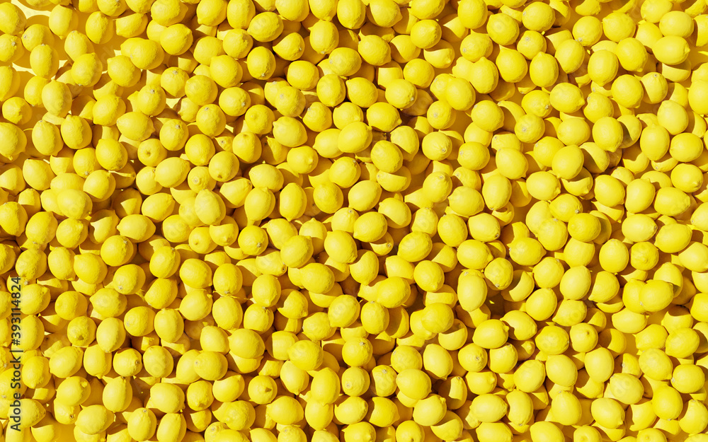 A lot of juicy yellow lemons lie together in a large heap. A lot of juicy yellow lemons lie together in a large heap.