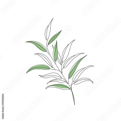 Boho leaves line art. Abstract minimal flora design for cover, prints, floral wall art, home decor picture, fabric and wallpaper. Vector illustration