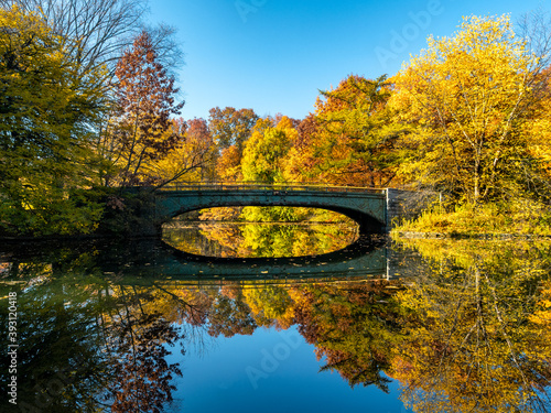 Autumn in Prospect Park  Brooklyn