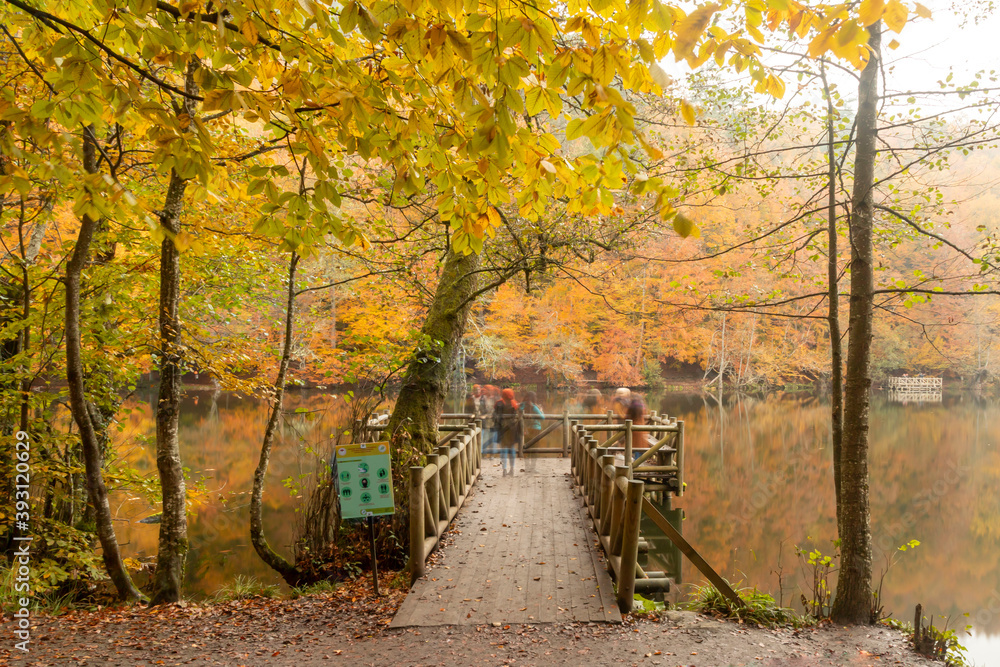 Naklejka premium Autumn colors. Colorful fallen leaves in the lake. Magnificent landscape. Natonial Park. Yedigoller. Bolu, Istanbul, Turkey.