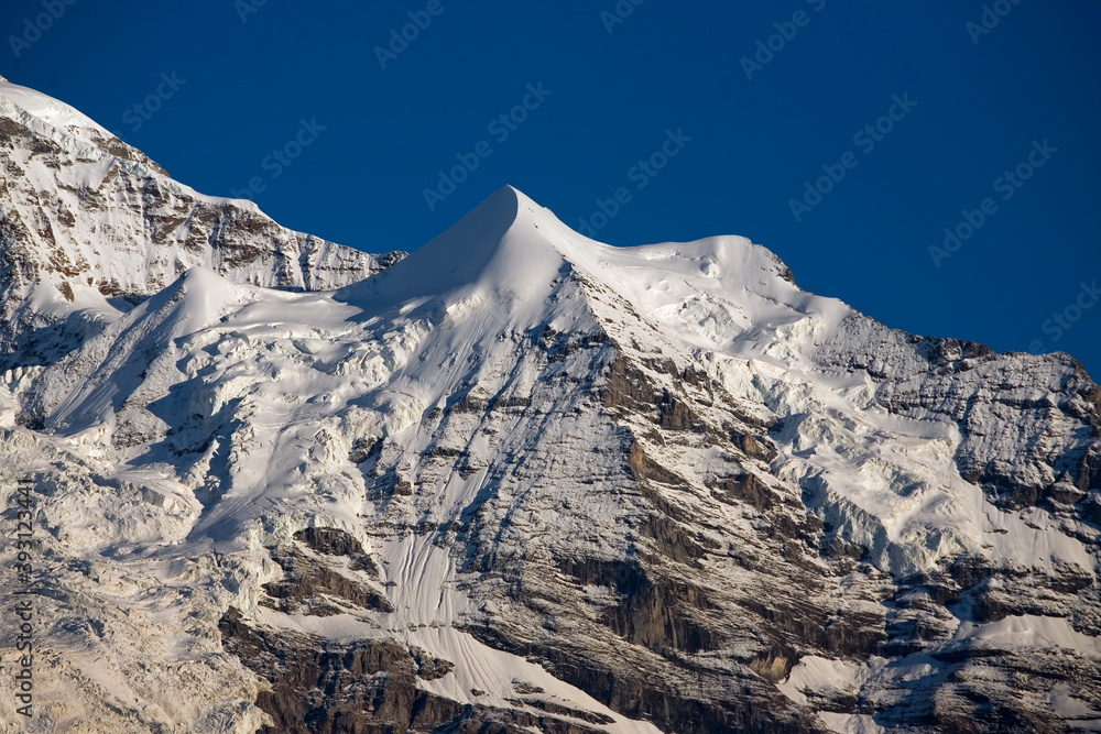 The distinctive cone of the Silberhorn, part of the Jungfrau massif, with its glacier (the Giesengletscher) towering over Lauterbrunnen valley, Bernese Oberland, Switzerland