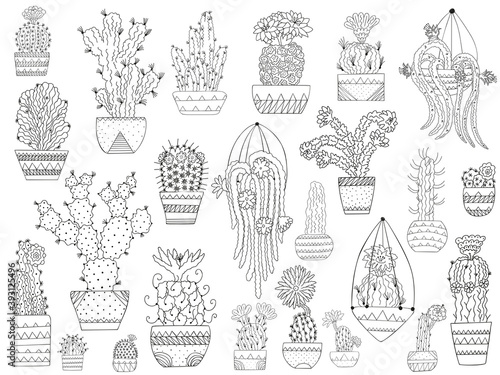 Set of black and white stylized cacti in patterned pots. Outline doodles in Scandinavian style. Botanical clip art of isolated succulents for coloring book, logo, icons, emblems, DIY, decor. Vector.