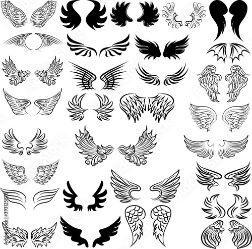 Set of bird wings for heraldry design. Set of wings