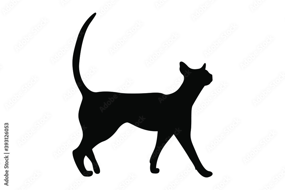 Vector silhouette of a cat. Pet. Silhouettes of cats. Beautiful feline silhouette of a walking cat.