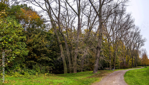  Ein Herbsttag im Wald.