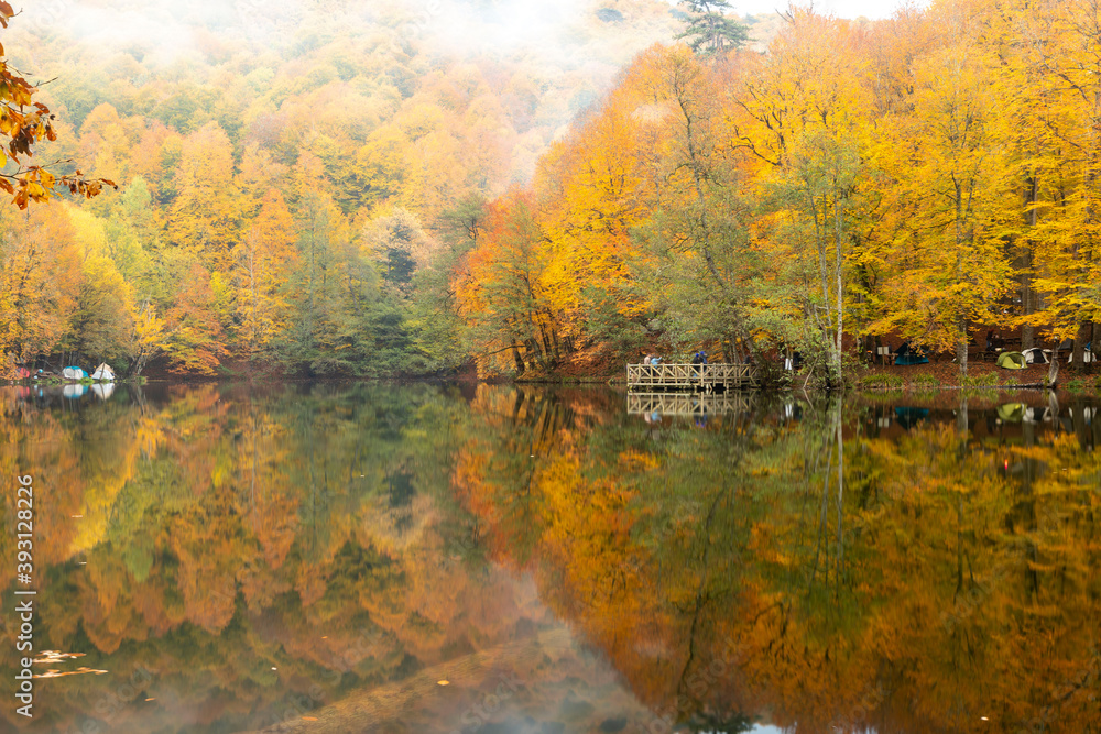 Fototapeta premium Autumn colors. Colorful fallen leaves in the lake. Magnificent landscape. Natonial Park. Yedigoller. Bolu, Istanbul, Turkey.