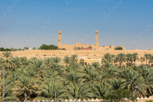 Green date trees growing in the park in the Ruins of Diraiyah, also as Dereyeh and Dariyya, a old town in Riyadh, Saudi Arabia