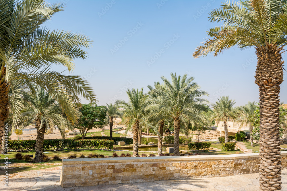 Green palm trees growing in the park in the Ruins of Diraiyah, also as Dereyeh and Dariyya, a old town in Riyadh, Saudi Arabia
