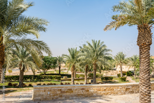 Green palm trees growing in the park in the Ruins of Diraiyah  also as Dereyeh and Dariyya  a old town in Riyadh  Saudi Arabia