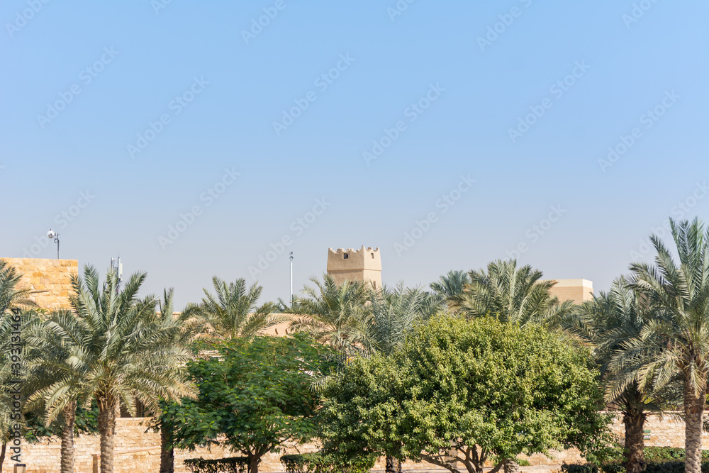 Green date trees growing in the park in the Ruins of Diraiyah, also as Dereyeh and Dariyya, a old town in Riyadh, Saudi Arabia