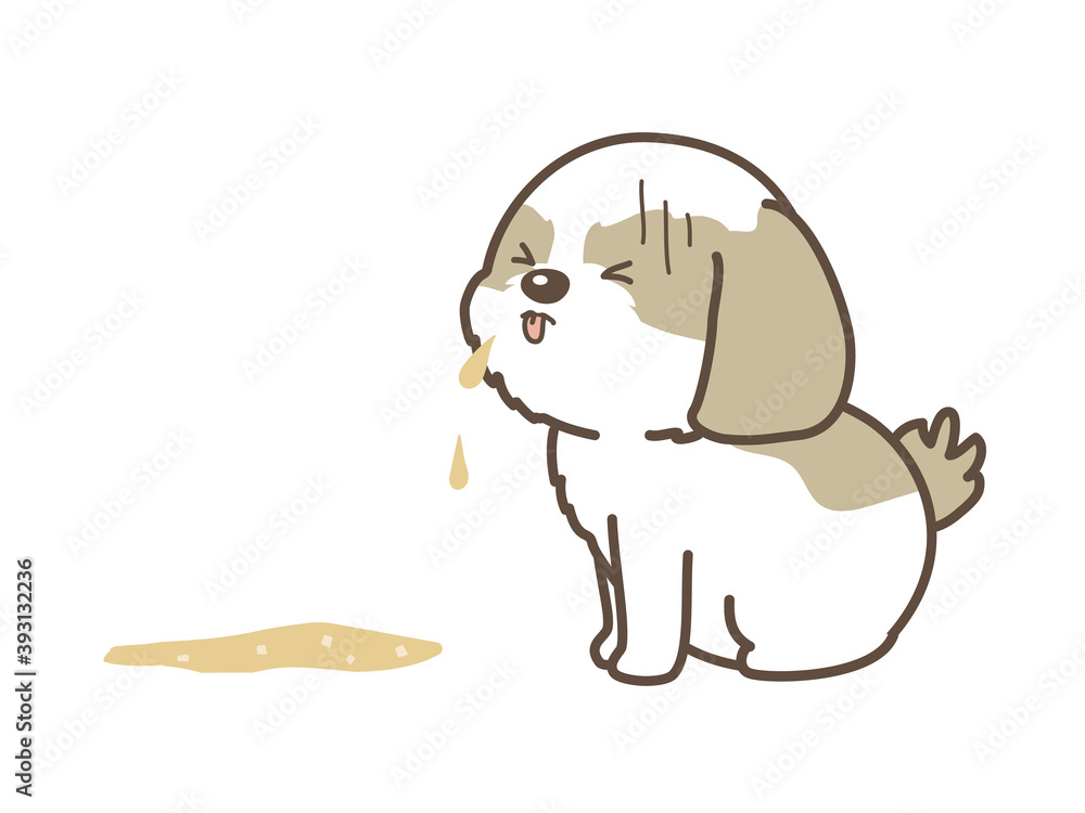 Obraz premium 嘔吐をしてしまった犬 シーズー