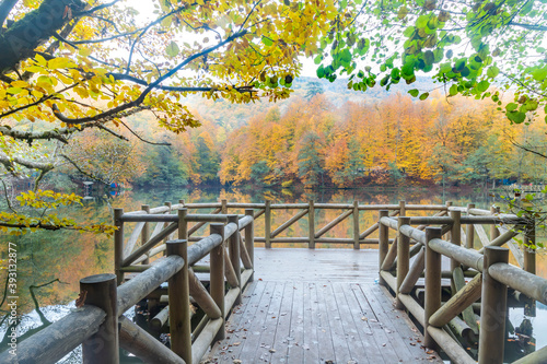Autumn colors. Colorful fallen leaves in the lake. Magnificent landscape. Natonial Park. Yedigoller. Bolu, Istanbul, Turkey. © stocktr