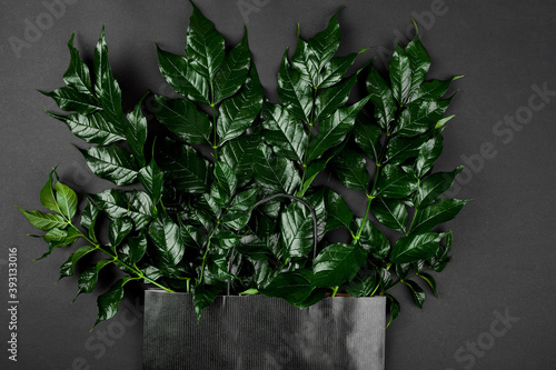 Mockup of black shopping bag on a dark background with green leaves