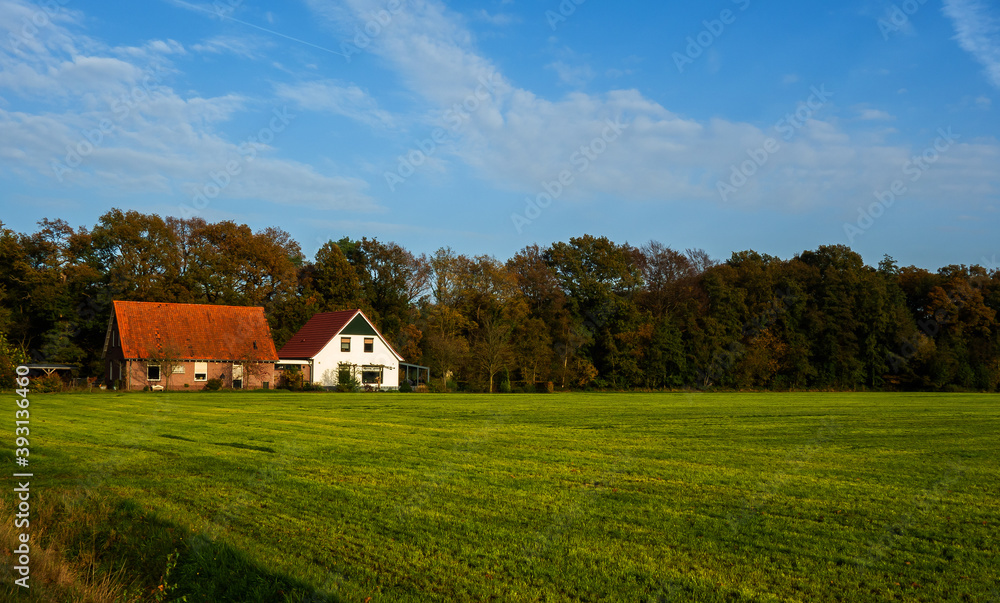 Rural landscape in autumn colors near Winterswijk, Netherlands
