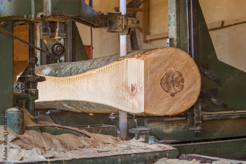 Sawmill cutting, Wooden log being cut with chainsaw