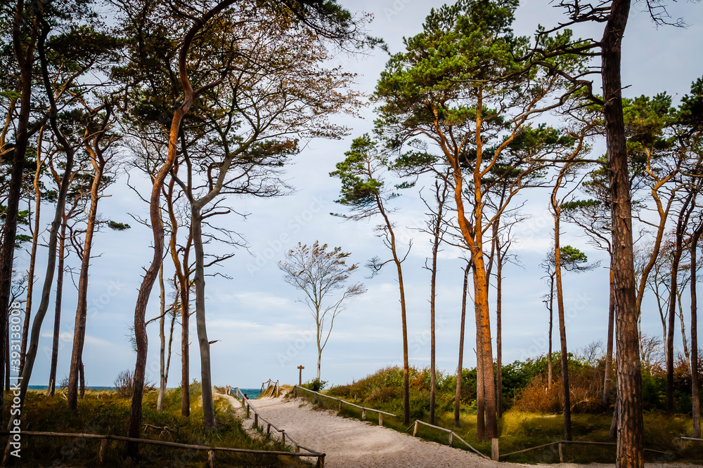 Beach at the Baltic Sea in Mecklenburg-Western Pomerania, Germany