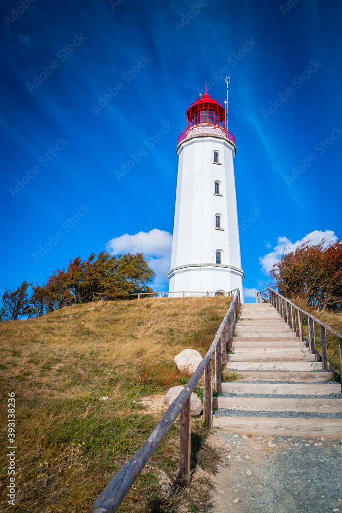 Lighthouse Thornbush at the island of Hiddensee, German Baltic Sea