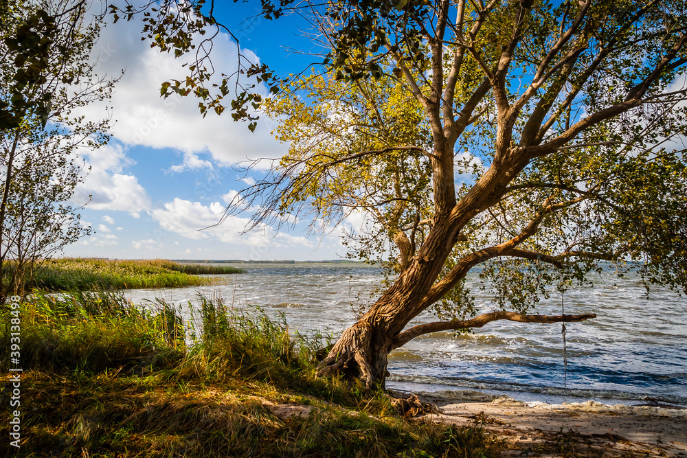Landscape at the backwater, called Bodden at the Baltic Sea, Germany Landscape at the backwater, called Bodden at the Baltic Sea, Germany