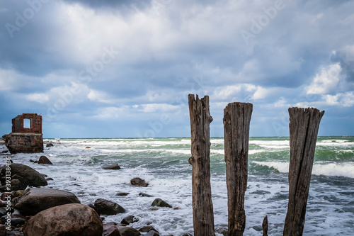 Wooden stacks at Cape Arkona  island of R  gen  Germany