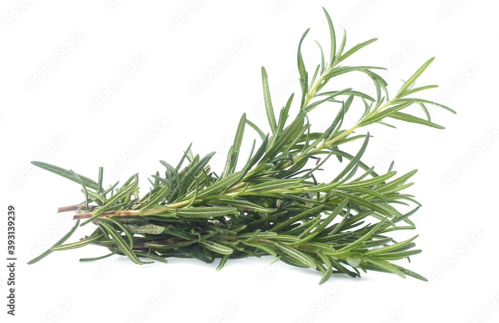Fototapeta premium rosemary isolated on white background