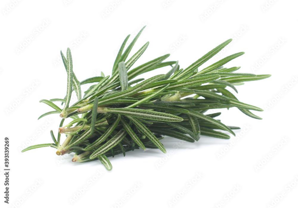 Fototapeta premium rosemary isolated on white background