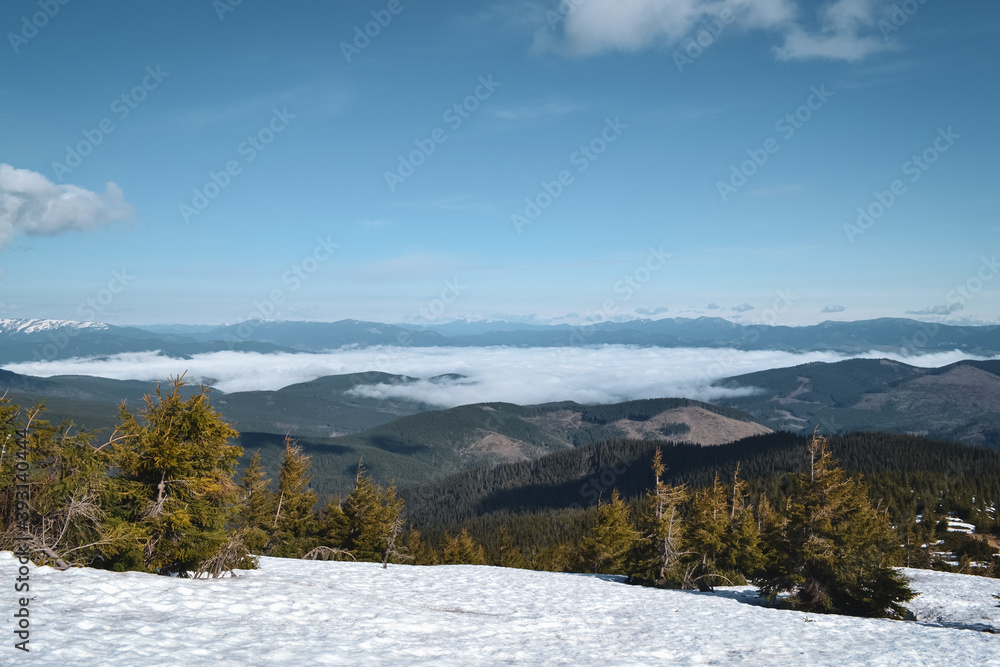 View from the mountain to the clouds above the forest
