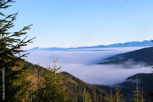 Fototapeta Naklejka Na Ścianę i Meble -  View from the mountain to the clouds above the forest