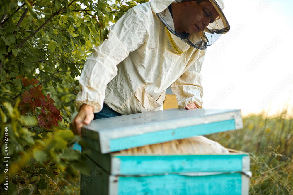 beekeeper in protective workwear in mask, he is closing apiary in the end of work beekeeper in protective workwear in mask, he is closing apiary in the end of work