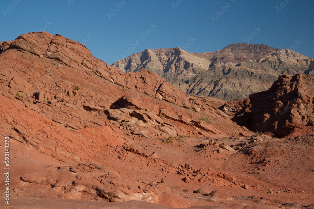 Fototapeta premium Martian landscape. View of the arid canyon, red sandstone, unique rock formations and mountains in Talampaya national park in La Rioja, Argentina.