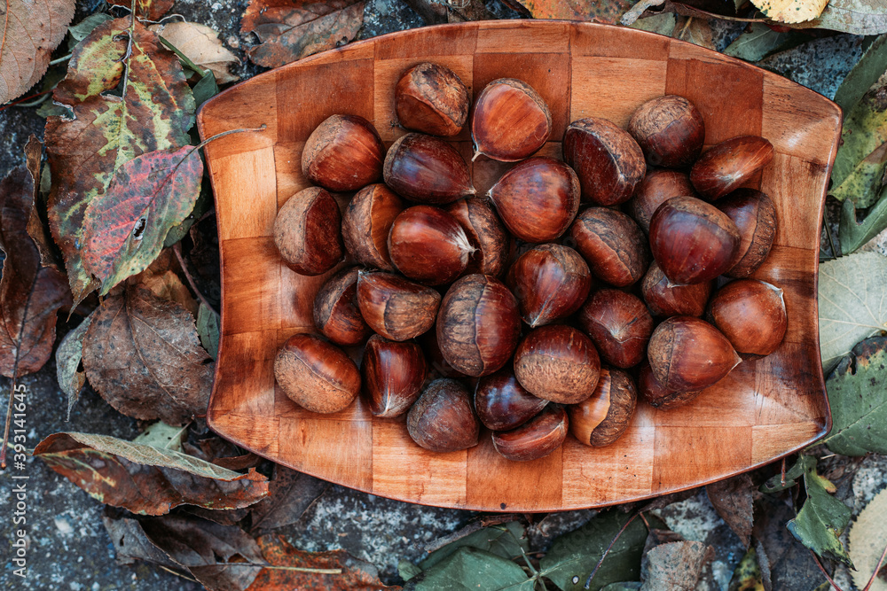 Fototapeta premium Top view of raw chestnuts in wooden dish surrounded with dry leaves.